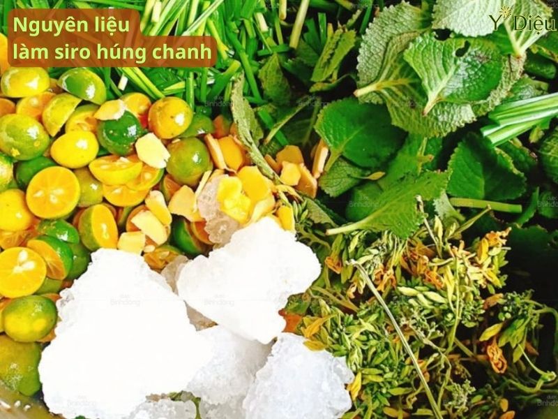 Những nguyên liệu chính làm siro húng chanh